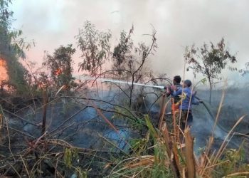 Kebakaran Lahan di Kabupaten Serang Makin Memprihatinkan