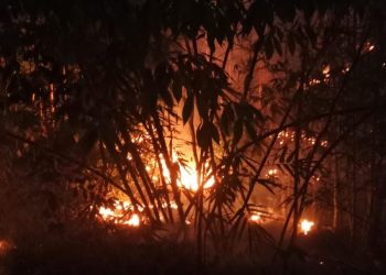 Kebakaran Lahan Dekat Perkampungan Buat Warga di Lebak Panik