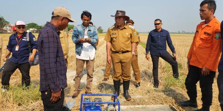 Al Muktabar ke Tanara, Cek Sumur Pantek untuk Petani