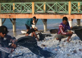 World Cleanup Day, Balai TNUK Bersihkan Sampah di Pulau Panaitan