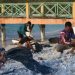World Cleanup Day, Balai TNUK Bersihkan Sampah di Pulau Panaitan