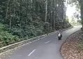 Mitos Keangkeran Lawang Taji, Kerap Terdengar Suara Kereta Kuda