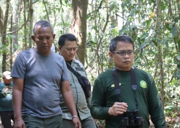 Waspadai Kebakaran Hutan, Kepala BTNUK Lakukan Ini di Pulau Peucang dan Panaitan