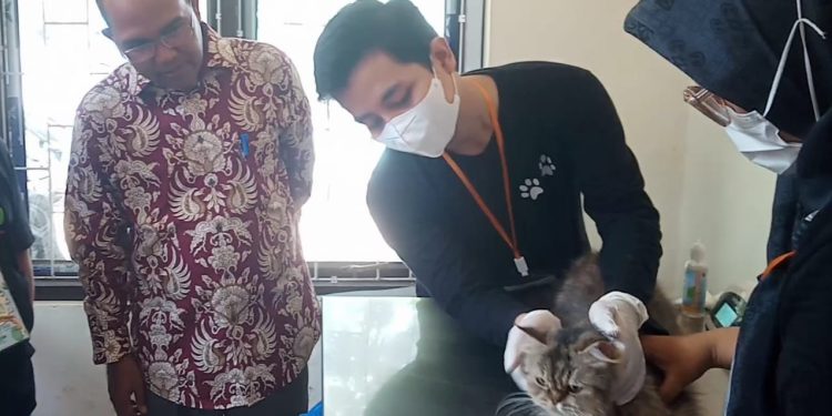 Peringati Hari Rabies Sedunia, Pemkab Pandeglang Berikan Vaksin Gratis untuk Kucing dan Anjing