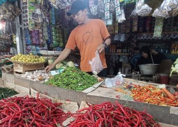 Harga Cabai Merah di Pasar Rangkasbitung Kembali Naik, Rp 50 Ribu per Kilo