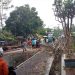 Hujan Deras, Pohon Tumbang Tutup Akses Jalan Nasional Pandeglang