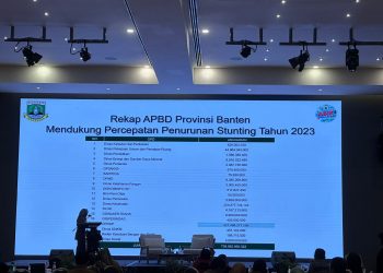 Pemprov Banten Alokasikan Rp 739,08 Miliar untuk Stunting
