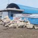Akhirnya, PT BSA Sepakat Tutup Operasional Stockpile Batu Bara