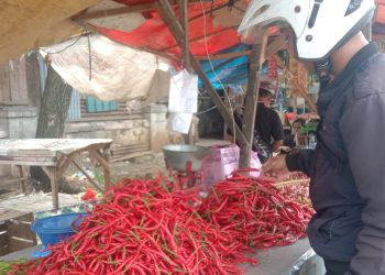Sepekan Terakhir, Harga Cabai di Kota Serang Naik Terus