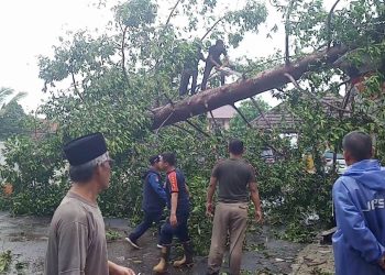 Puting Beliung Menyapu Pandeglang, BPBD-PK Turun Tangan, Segini Kerugiannya