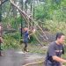 Pohon Tumbang, Jalan Ahmad Yani di Pandeglang Macet