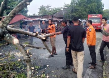 Akibat Cuaca Ekstrem, Pedagang Durian di Anyar Meninggal Dunia Tertimpa Pohon