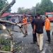 Akibat Cuaca Ekstrem, Pedagang Durian di Anyar Meninggal Dunia Tertimpa Pohon