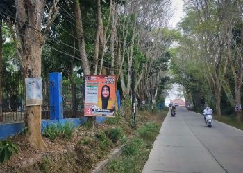 Bawaslu Lebak Akan Copot Alat Peraga Kampanye di Pohon
