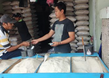 Harga Beras di Pasar Baros Mencapai Rp13.000 per Kilogram