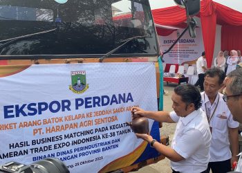 Briket Arang Batok Kelapa Asal Banten Diekspor ke Arab Saudi, Nilainya Ratusan Miliar