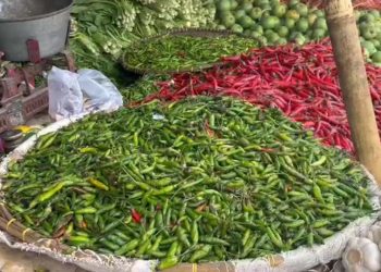 Cabai Rawit di Kota Serang Makin Pedas, Tembus Rp 100 Ribu per Kilogram