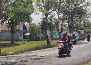 Bawaslu Kabupaten Serang Kewalahan Tertibkan APK Liar