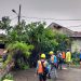 Angin Kencang, Pohon Besar Tumbang di Pusat Kota Rangkasbitung