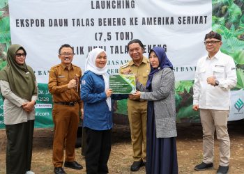 Talas Beneng Kembali Diekspor ke Amerika Serikat