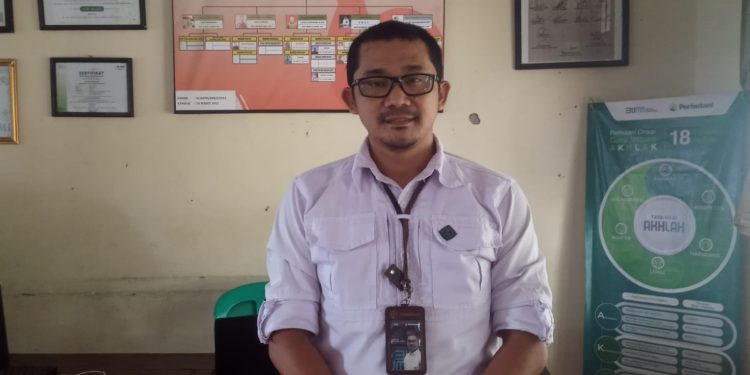 Kondisi Hutan di Kawasan Pandeglang, Begini Kata Perhutani