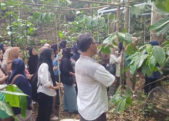 Mahasiswa Untirta Kunjungi Kebun Kopi Lawang Taji