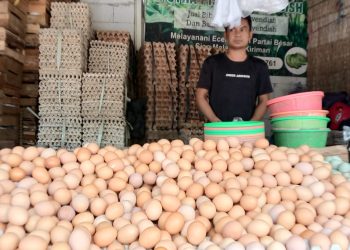 Selain Cabai Rawit, Harga Telur di Pasar Induk Rau Ikut Naik