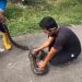 Warga Rangkasbitung Tangkap Ular Sanca Sepanjang 2,5 Meter