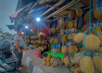 Gang Kibun Pusat Durian di Rangkasbitung