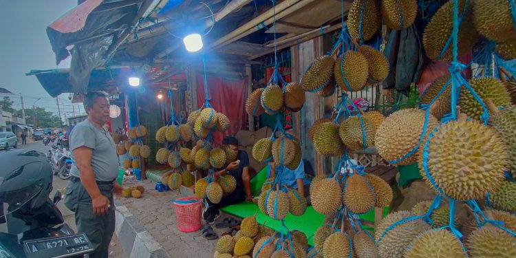 Gang Kibun Pusat Durian di Rangkasbitung