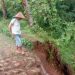 Tanah Sawah Longsor Timpa 2 Rumah Warga Pandeglang