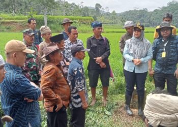 Tok, Sengketa Batas Desa Adat Baduy Selesai