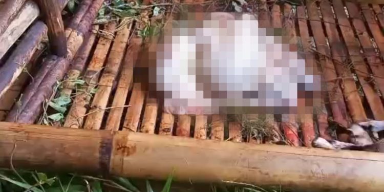 26 Kambing di Lebak Dicuri, Maling Sisakan Jeroan