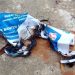 APK Caleg Partai Gelora Dibakar dan Dilumuri Kotoran Hewan