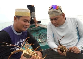 Cegah Kepunahan, Mayjen Kunto Bersama Nelayan Dirikan Rumah Lobster di Pandeglang
