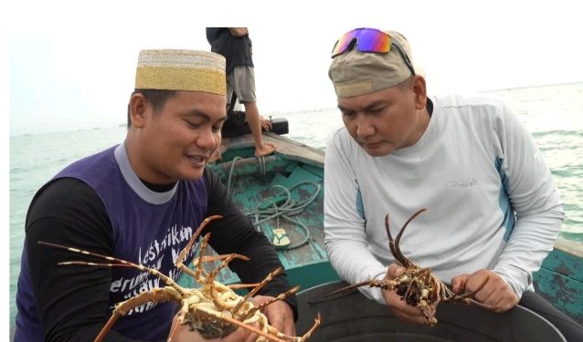 Cegah Kepunahan, Mayjen Kunto Bersama Nelayan Dirikan Rumah Lobster di Pandeglang
