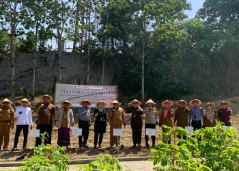 Percepat Penurunan Stunting, Pemkab Lebak Tanam Ribuan Pohon Kelor di Lahan SAE Lapas Rangkasbitung