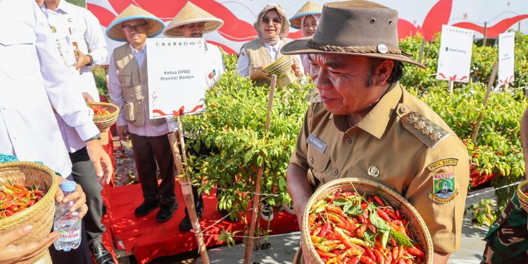 Distan Banten Klaim Harga Cabai Rawit di Banten Mulai Stabil