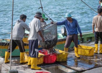 DKP Banten Targetkan 220 Ribu Ton Ikan Tangkap dan Budidaya