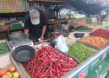 Harga Cabai Merah di Pasar Rau Mulai Turun, Tomat Naik Drastis