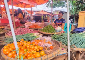 Naik 3 Kali Lipat, Harga Tomat Tembus Rp24 Ribu Per Kg