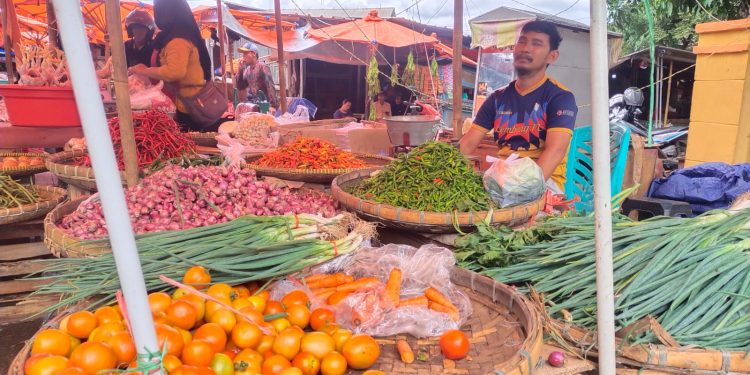 Naik 3 Kali Lipat, Harga Tomat Tembus Rp24 Ribu Per Kg