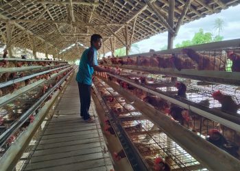 Awalnya Terhimpit Pandemi Kini Klaster Usaha Ini Berkembang Berkat Program BRI KlasterkuHidupku