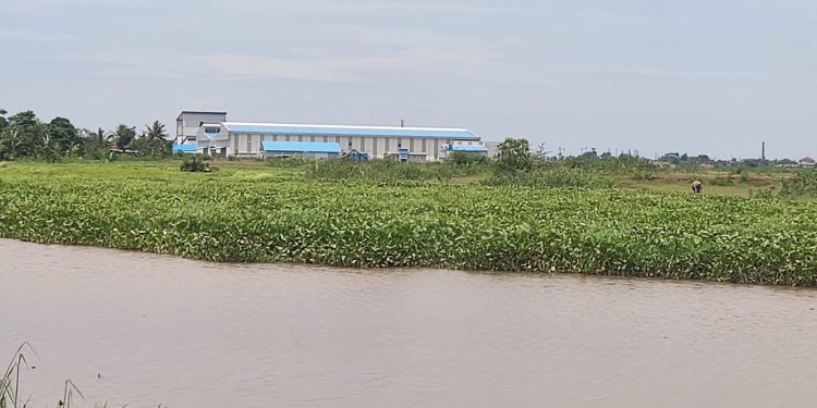 Pemerhati Lingkungan Minta Situ Ranca Gede Jakung Dikembalikan Fungsinya