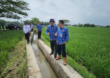 Petani Jangan Panik, Distan Banten Pastikan Pupuk Subsidi Tersedia