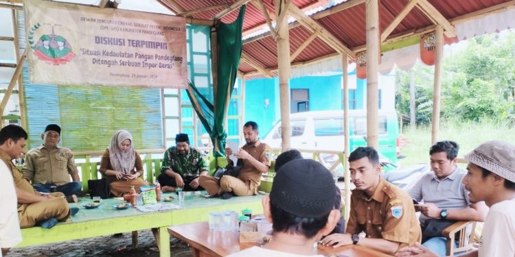 Produksi Padi Surplus, SPI Pandeglang Tolak Impor Beras