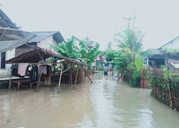 Sungai Cilemer Meluap, Kampung Idaman di Patia Banjir