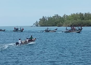 Cari Lobster di TNUK, Nelayan Sumur Pandeglang Tewas Diseret Buaya 