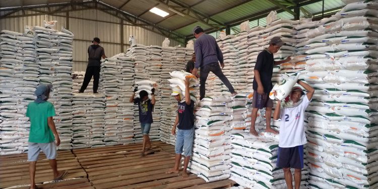 Stok Beras 3.300 Ton, Bulog Lebak-Pandeglang Klaim Kebutuhan Hingga Ramadan Aman