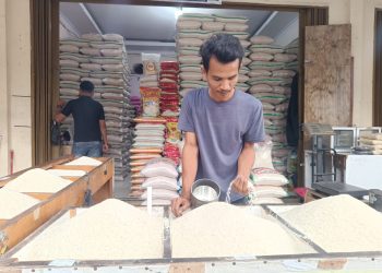Harga Beras Premium di Pasar Rau Kota Serang Mulai Turun